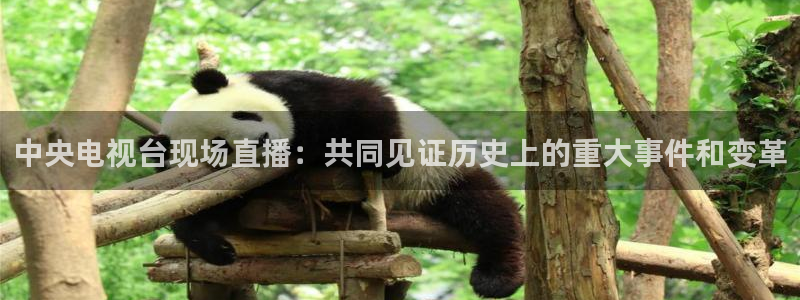 乐球吧jrs低调看直播：中央电视台现场直播：共同见证历史上的重大事件和变革
