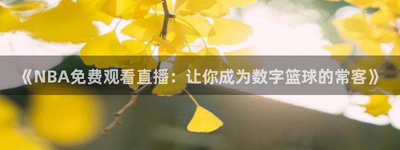 乐球直播旧版：《NBA免费观看直播：让你成为数字篮球的常客》