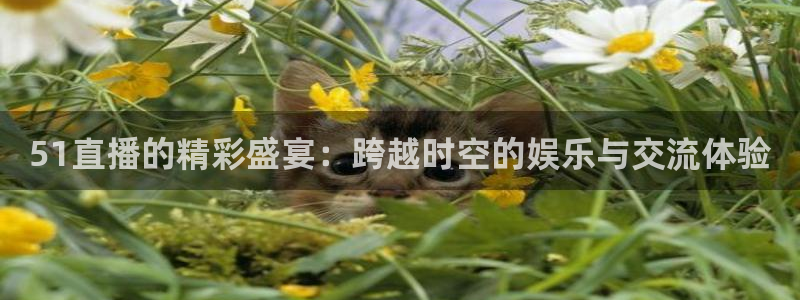 nba直播比赛观看乐球：51直播的精彩盛宴：跨越时空的娱乐与交流体验