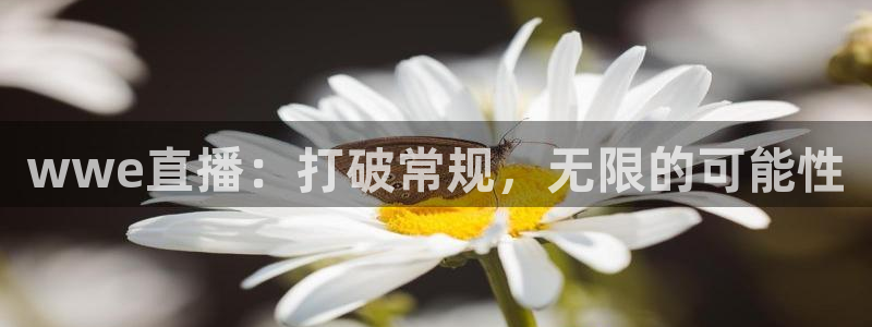 乐球视频：wwe直播：打破常规，无限的可能性