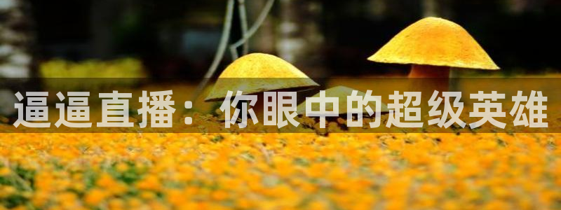 乐球直播(无插件)：逼逼直播：你眼中的超级英雄