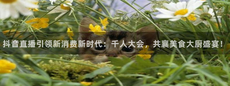 乐球吧直播app：抖音直播引领新消费新时代：千人大会，共襄美食大厨盛宴！