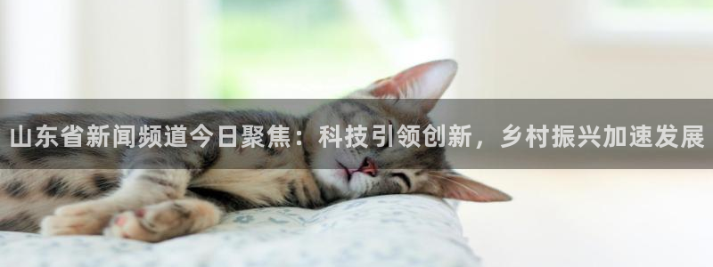 nba球赛直播高清乐球：山东省新闻频道今日聚焦：科技引领创新，乡村振兴加速发展